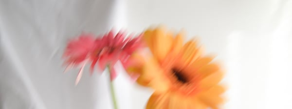 Welcome image