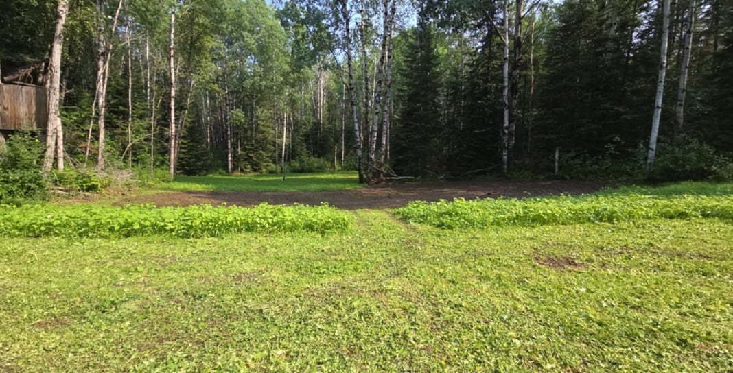 Slideshow image 1