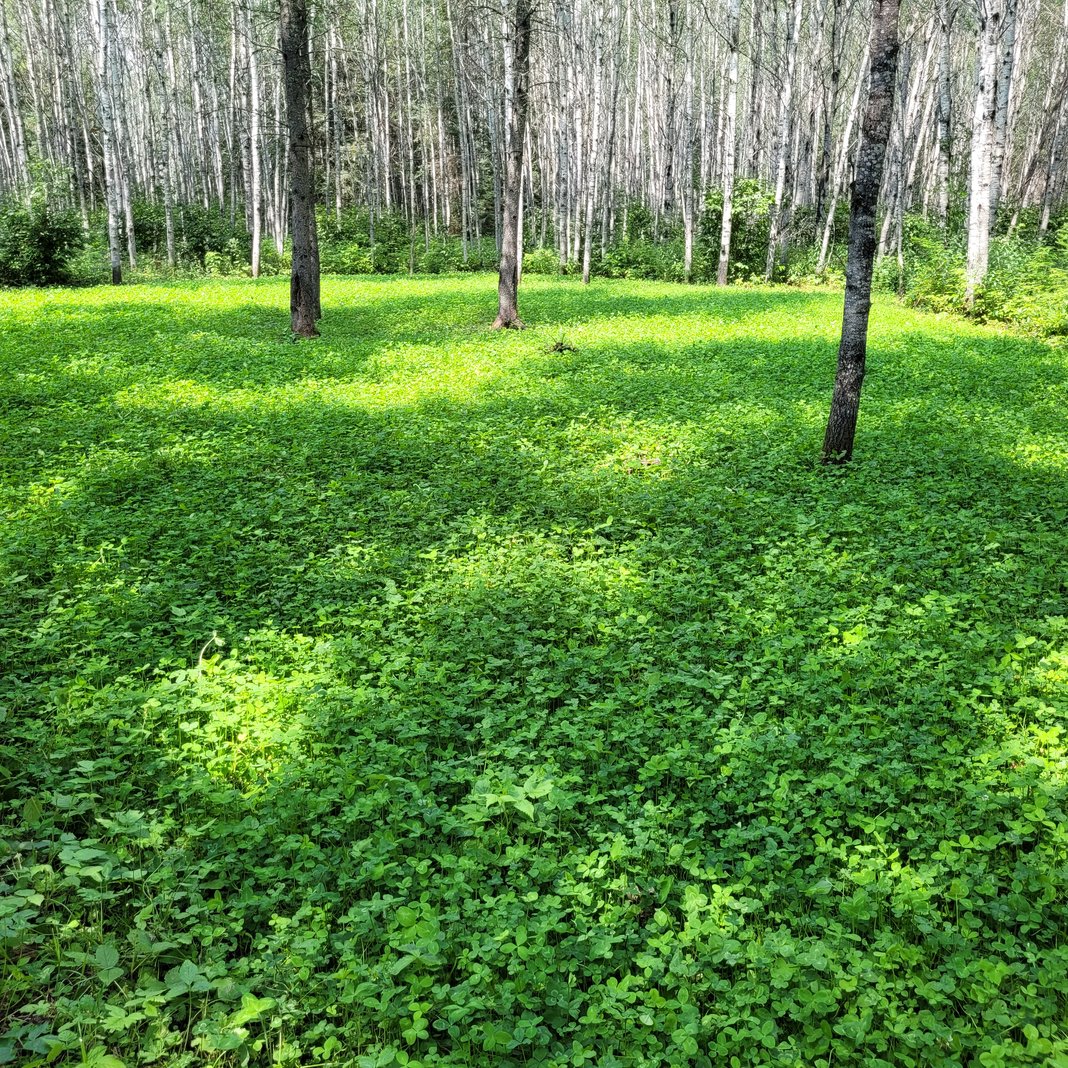 Slideshow image 9
