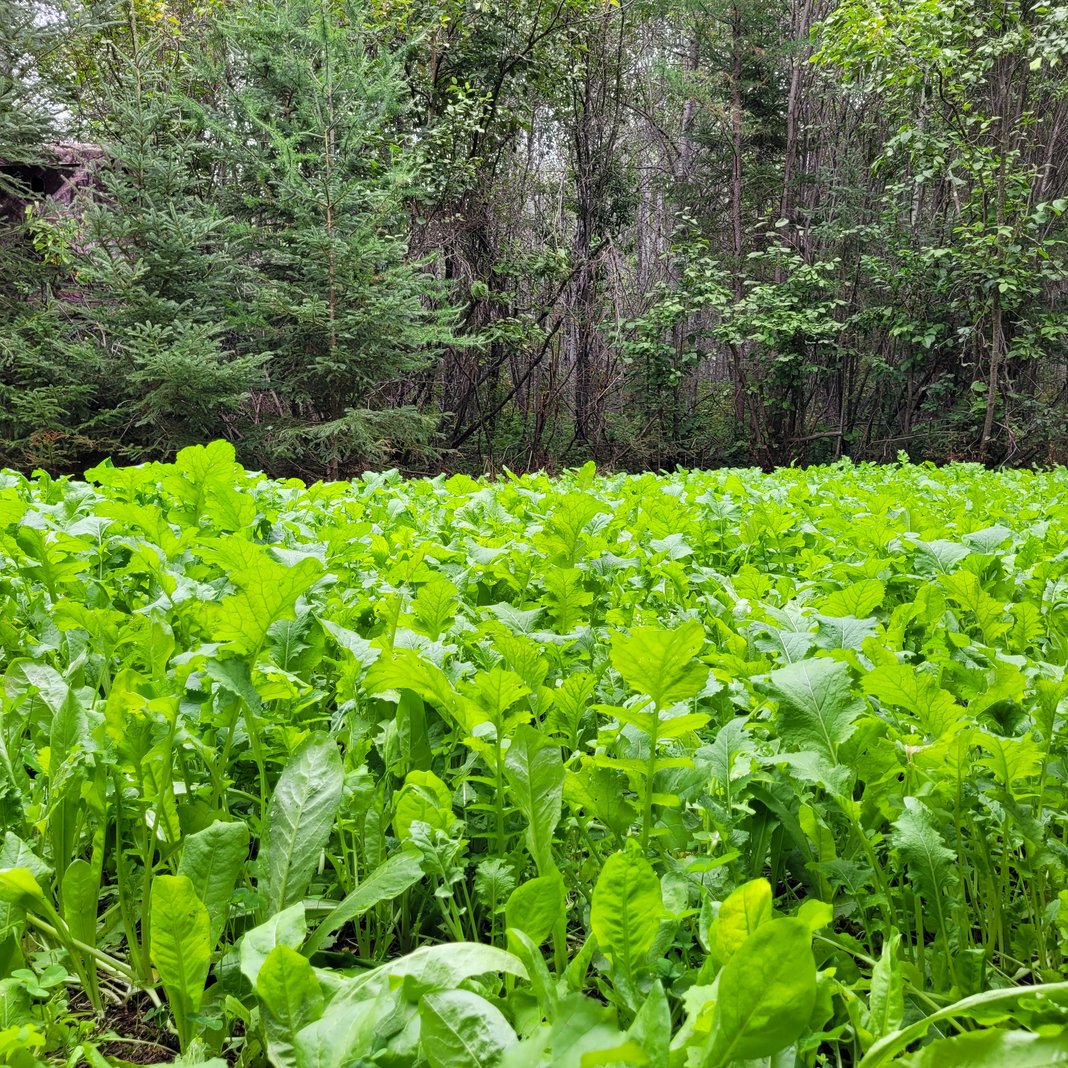 Slideshow image 15