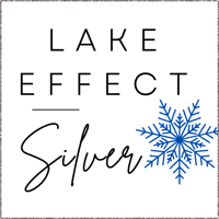 Lake Effect Silver Home