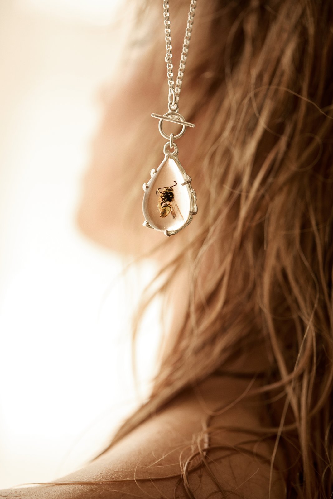 Slideshow image 5