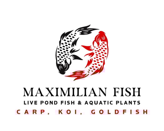 Maximilian Fish Home
