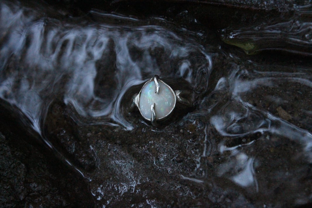 Slideshow image 5