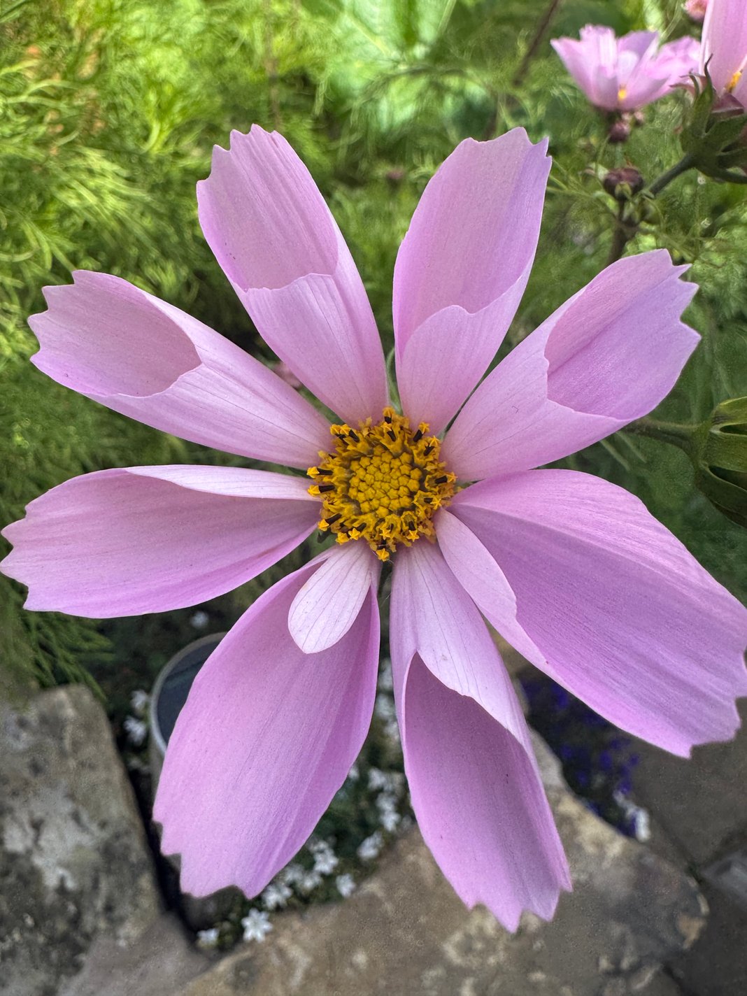 Slideshow image 3
