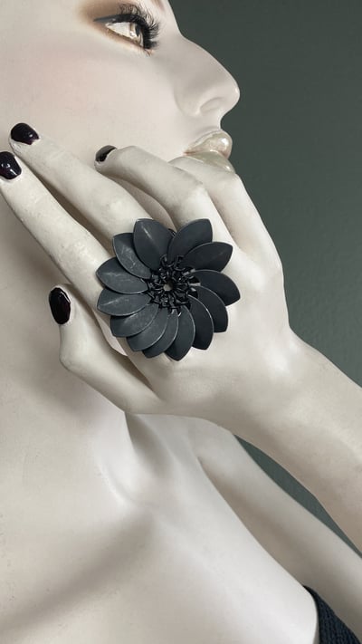 Slideshow image 8