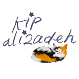 kip alizadeh's shop Home