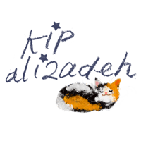 kip alizadeh's shop Home