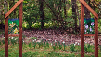 Slideshow image 2