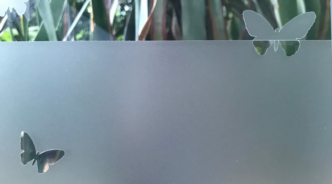 Slideshow image 9