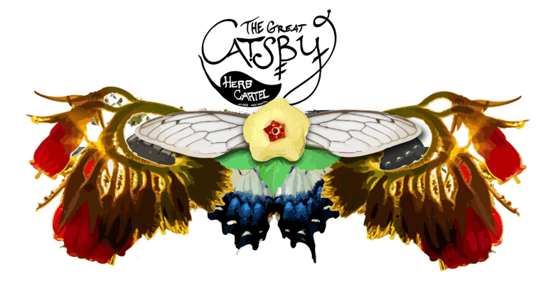 The Great Catsby Herb Cartel Home