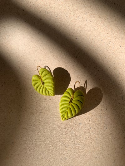 Slideshow image 4