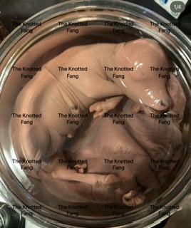 Slideshow image 6