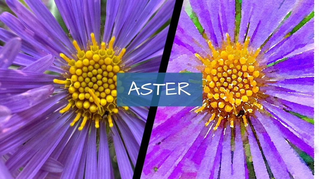Slideshow image 8