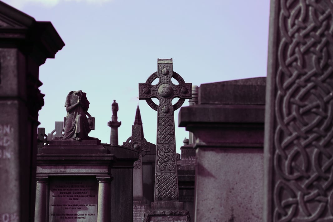 Slideshow image 7