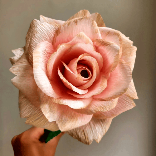 Slideshow image 1