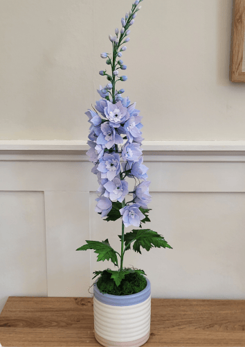 Slideshow image 4