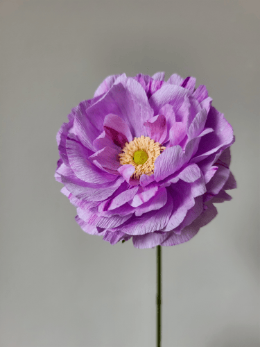 Slideshow image 8