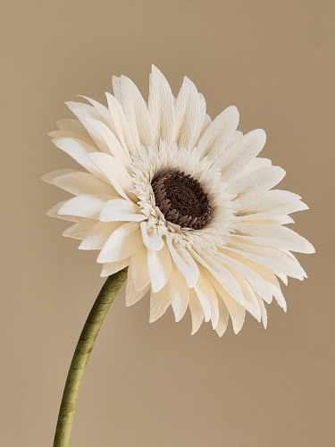 Slideshow image 19