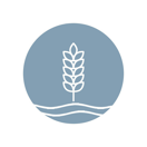 Lakepointe Designs Home