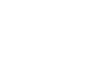Mule Home