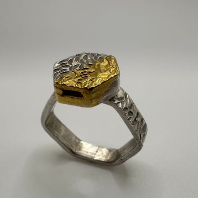 Slideshow image 7