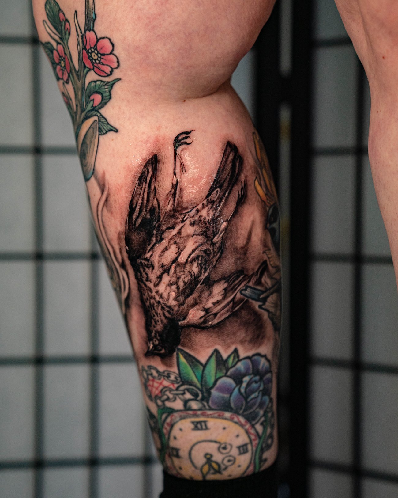 Slideshow image 15