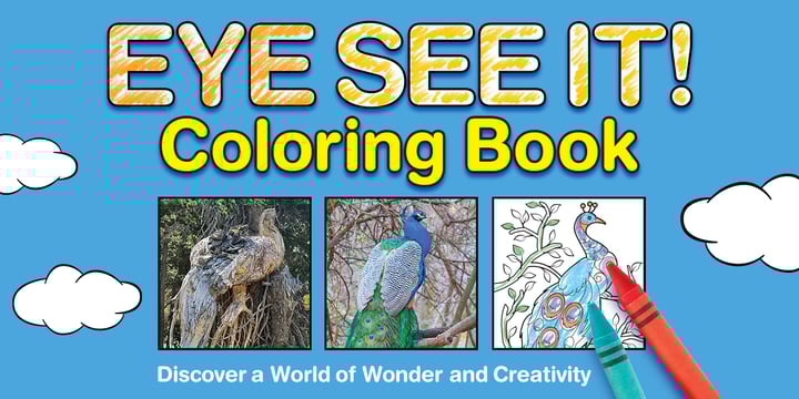  eyeseeitcoloringbook Home