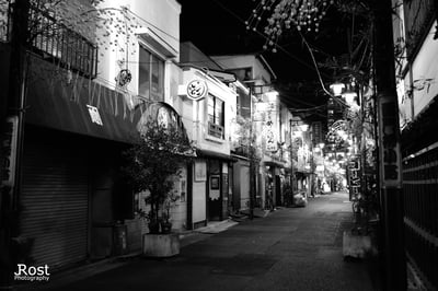 Slideshow image 5