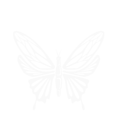 amartecreaciones Home