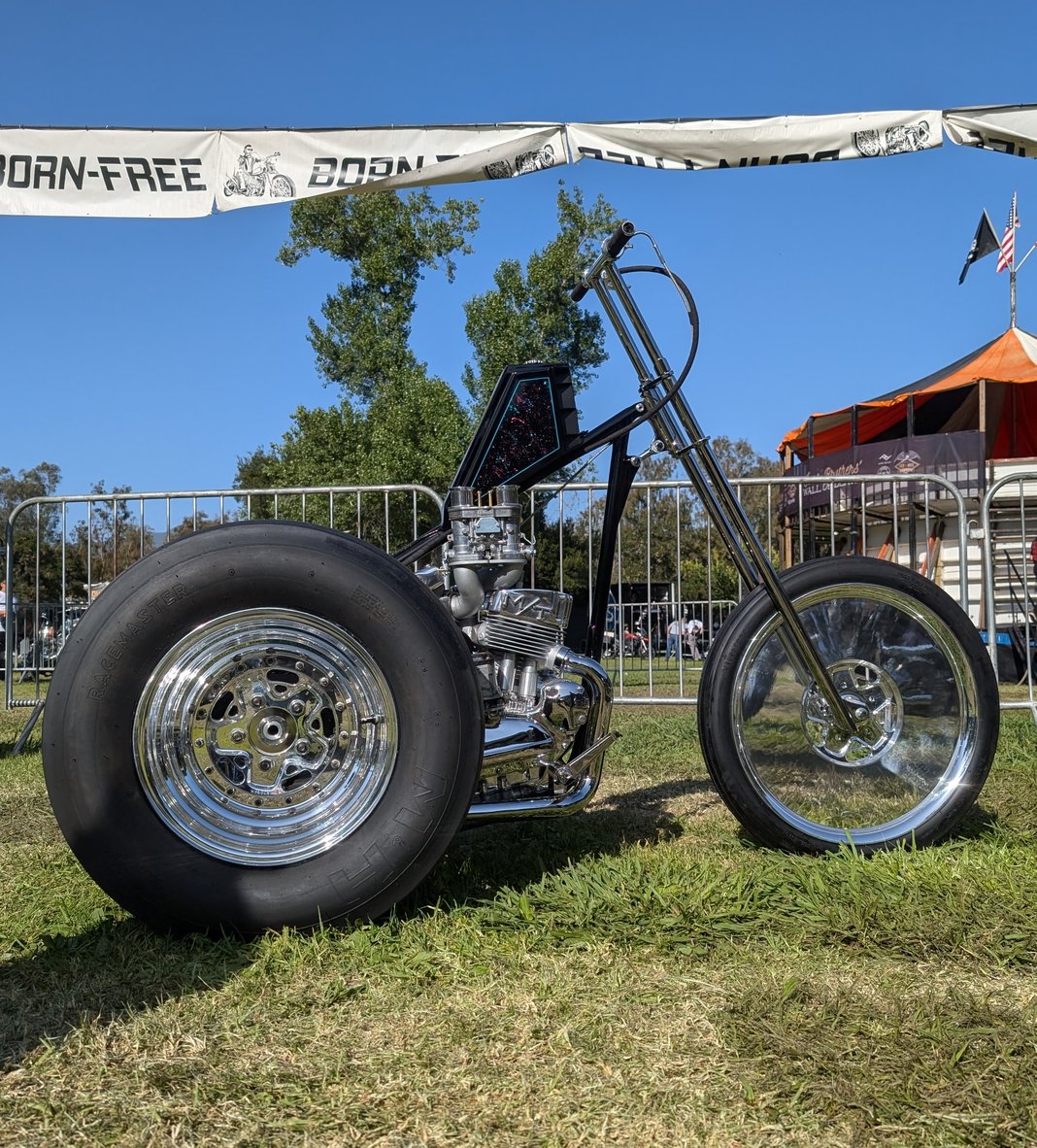 Slideshow image 12