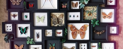 Slideshow image 5
