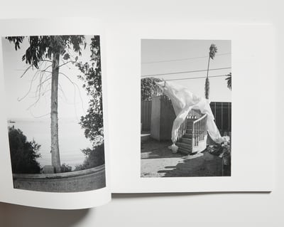 Slideshow image 4