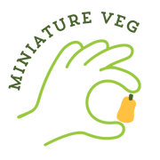 Miniature Veg Home