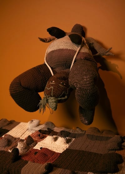 Slideshow image 9