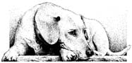 Promo image