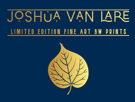 Joshua Van Lare Home