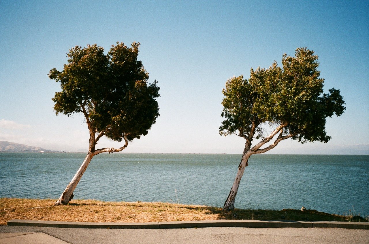 Image of 