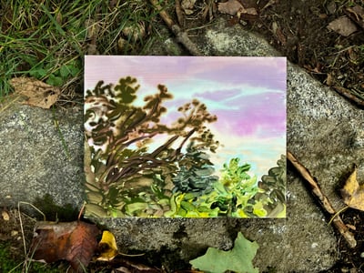 Slideshow image 1