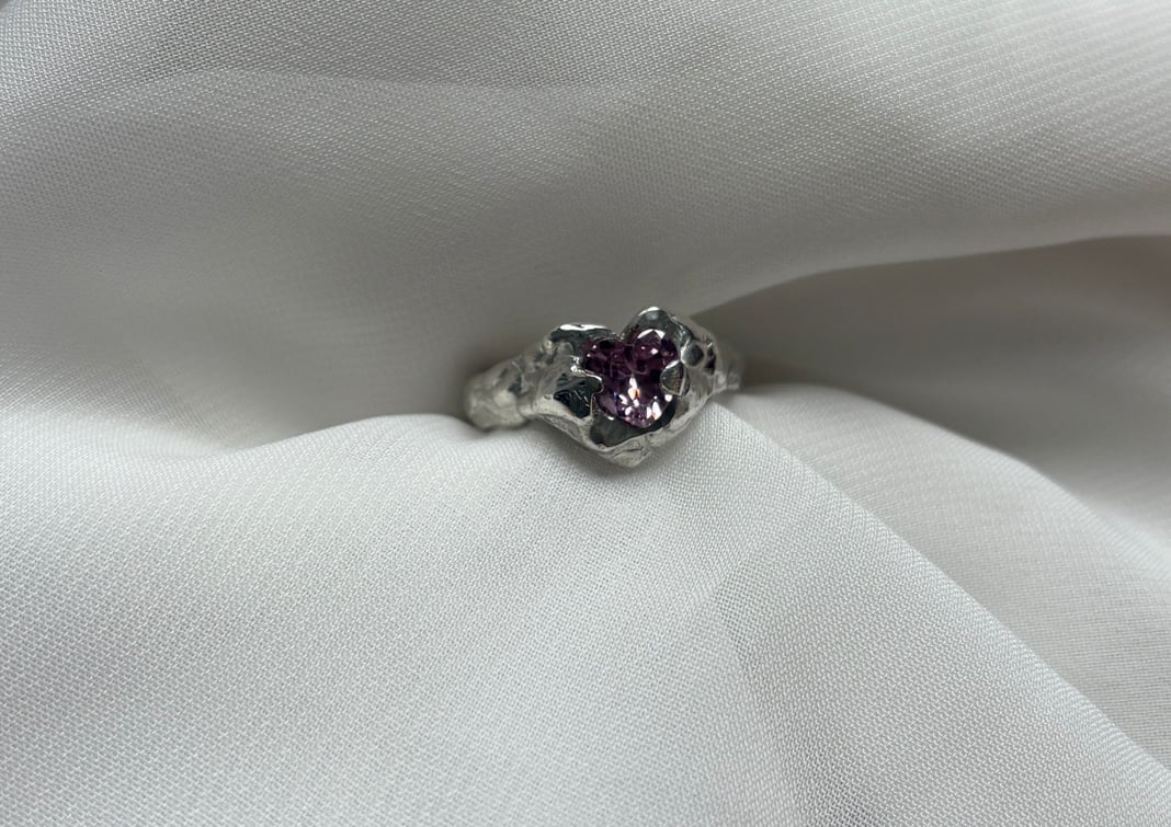 Slideshow image 6