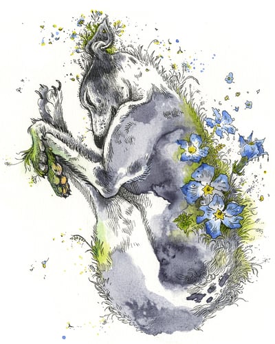 Slideshow image 6