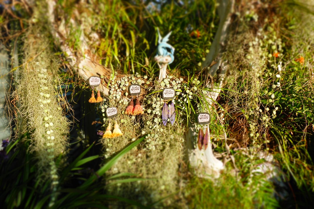 Slideshow image 5
