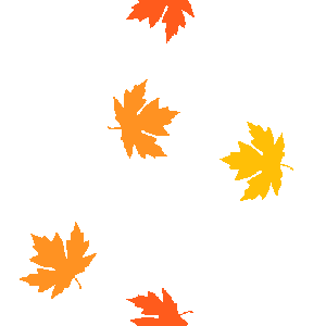 Maple Leaf Fingerboards Home