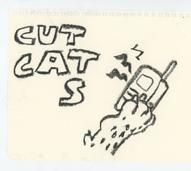 Cut Cats Courier Home