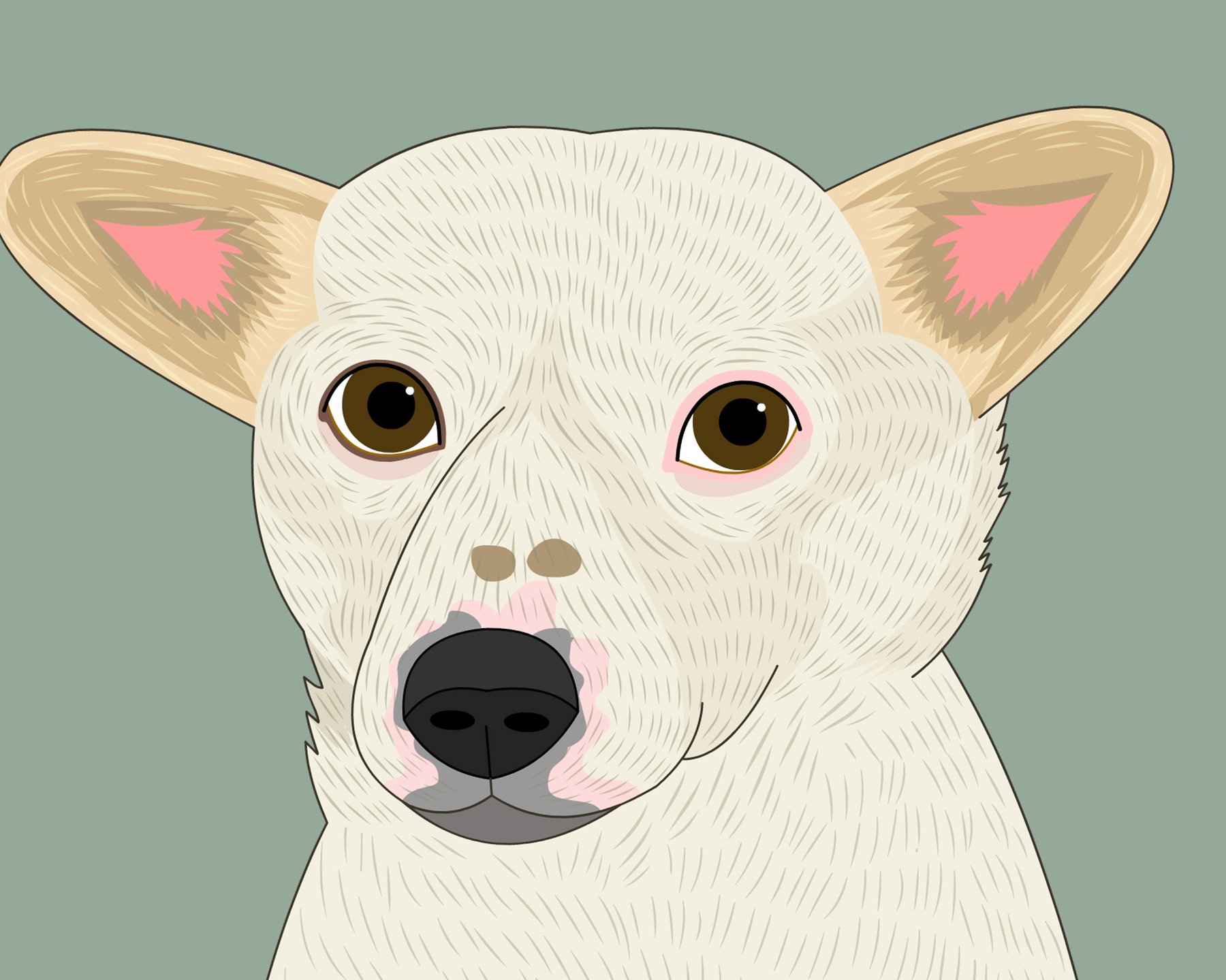 custom portraits by lili di prima