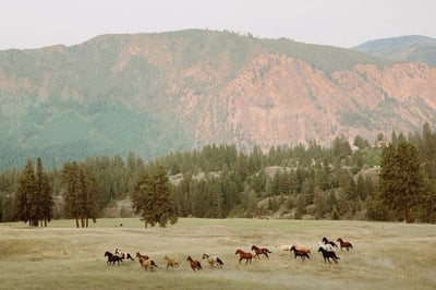 Slideshow image 1