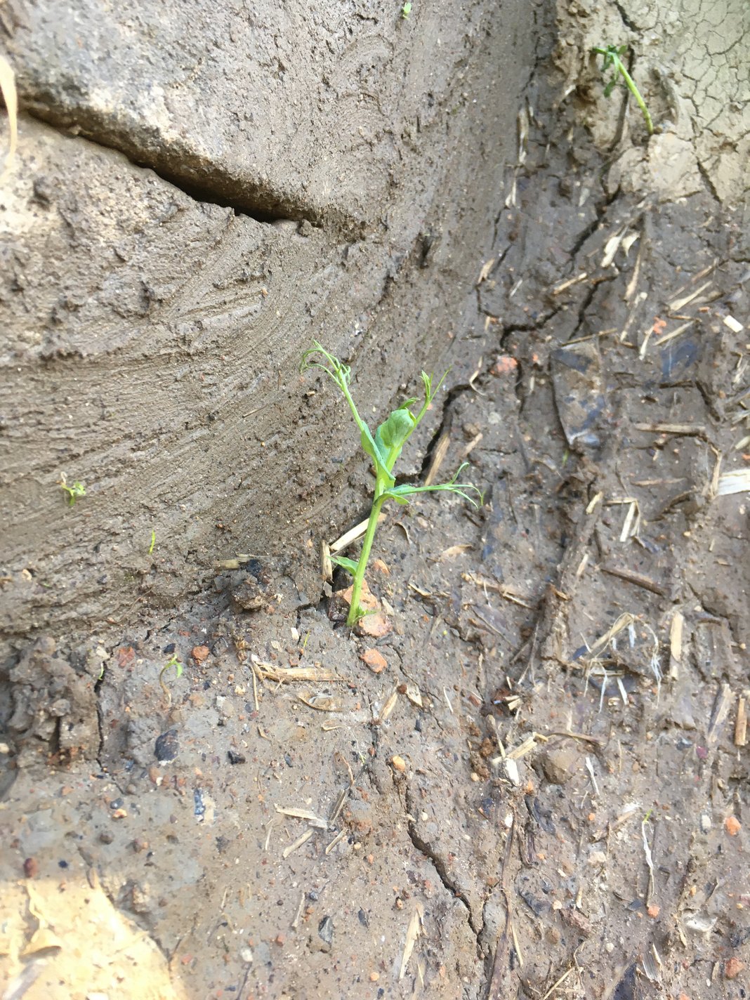 Slideshow image 1