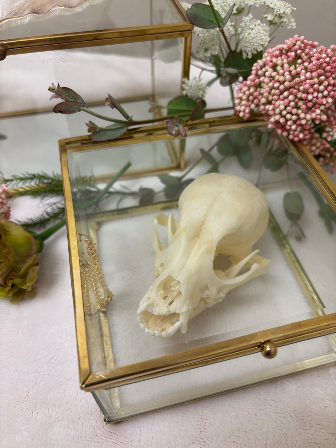 Slideshow image 11