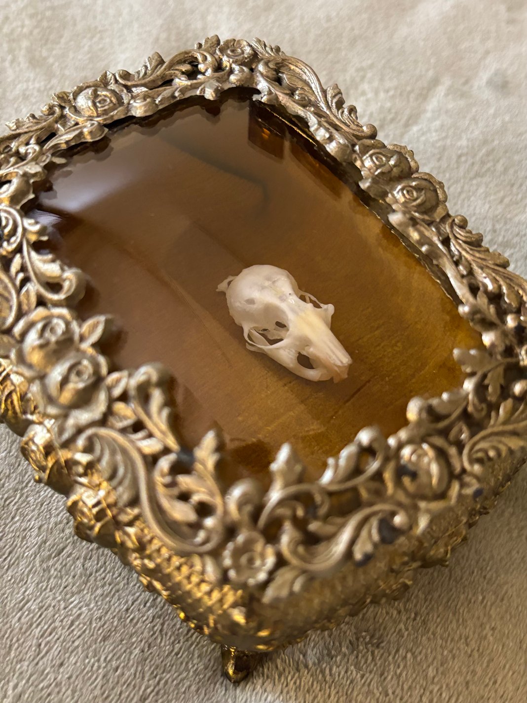 Slideshow image 9