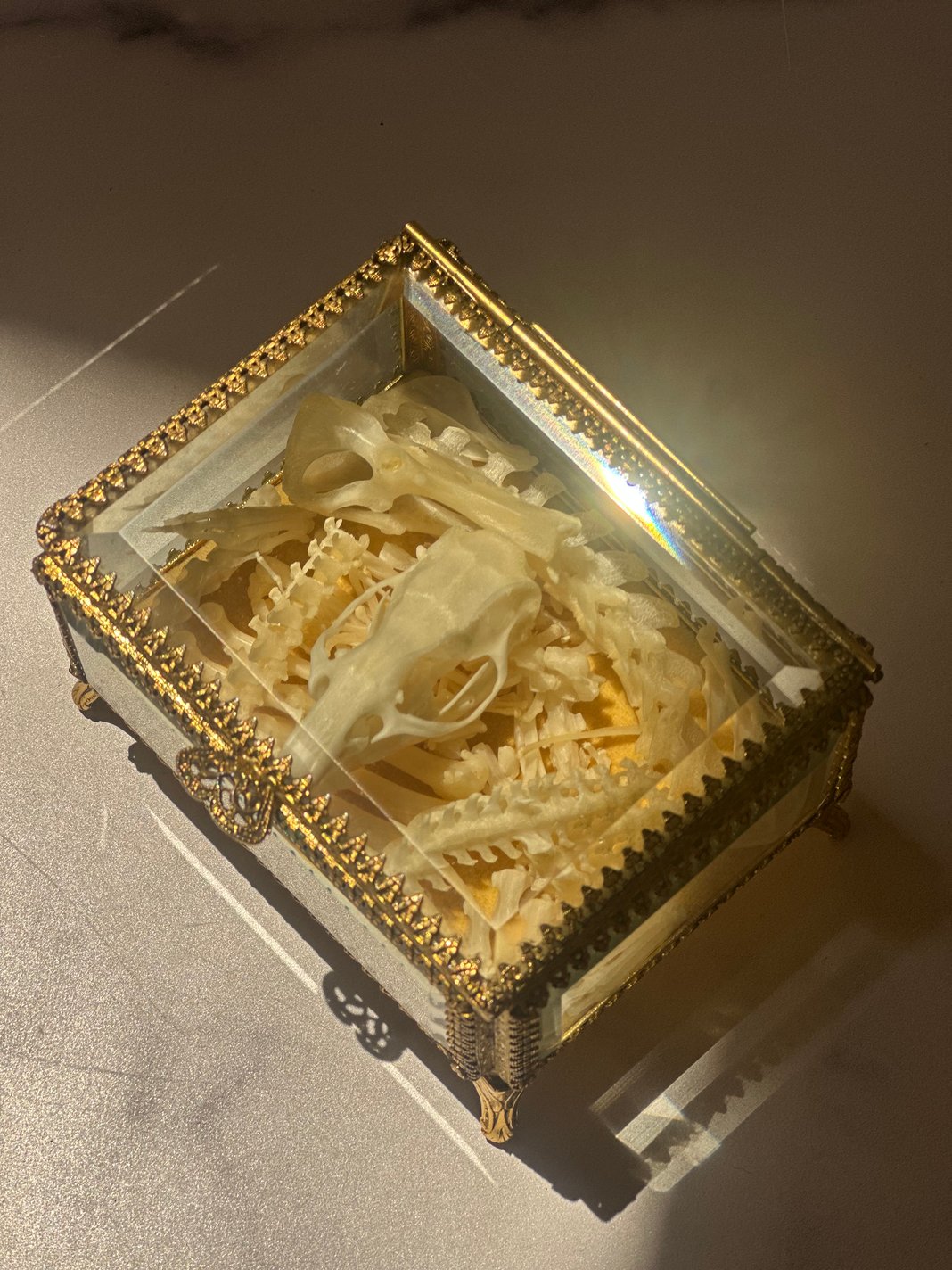 Slideshow image 18